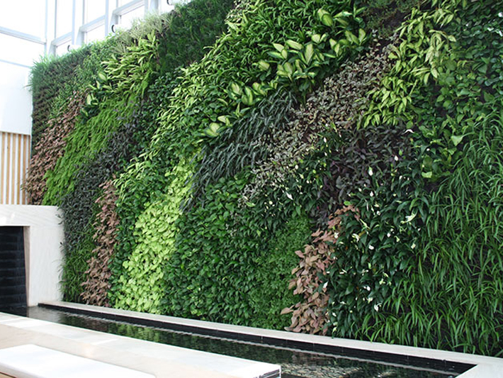 植物墙 (2)