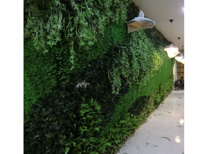 植物墙 (3)